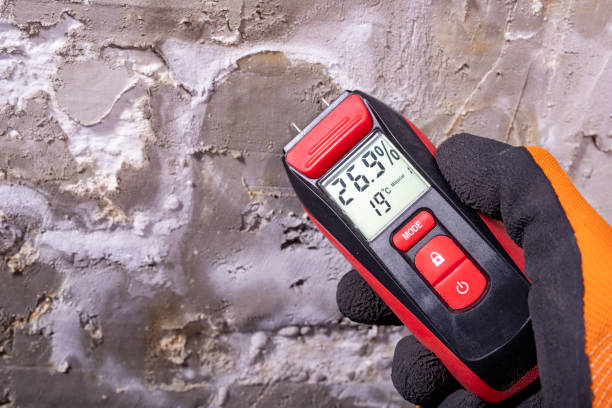 Best Attic Mold Removal  in Gibsonia, PA