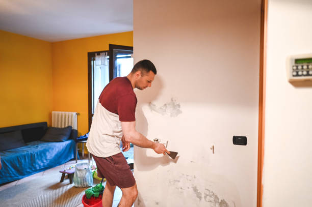 Best Local Mold Removal Service  in Gibsonia, PA
